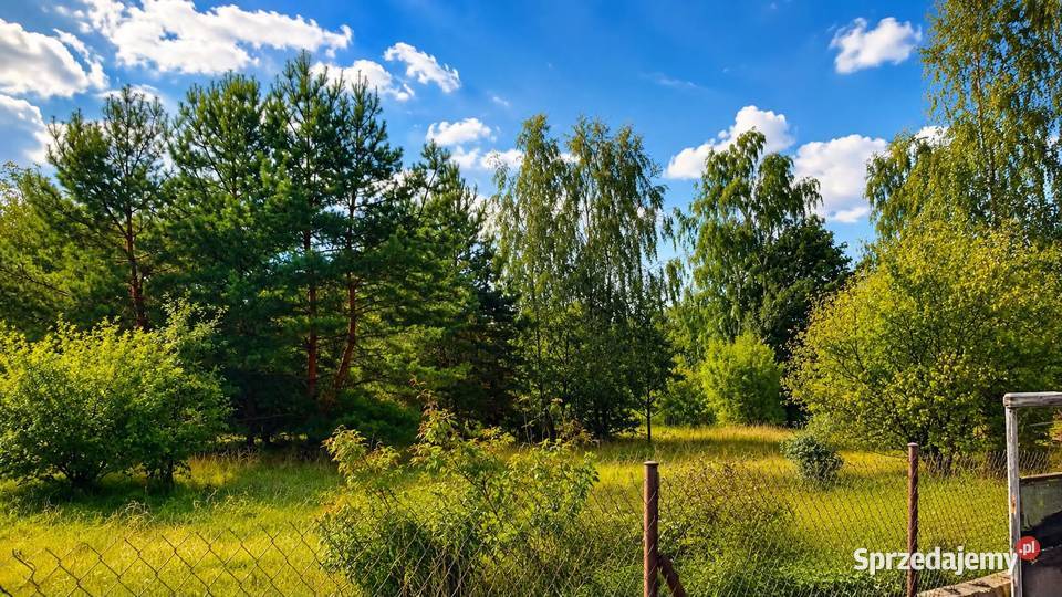 Działka budowlana 1233 m 10 min Sokołowa 95 000 Hołowienki sprzedam