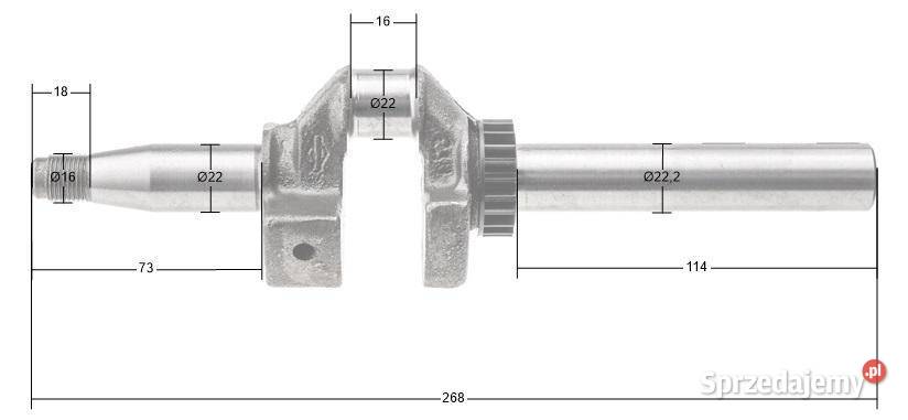 Wał korbowy BS Series 400 500 CZĘŚĆ ORYGINALNA Opalenica