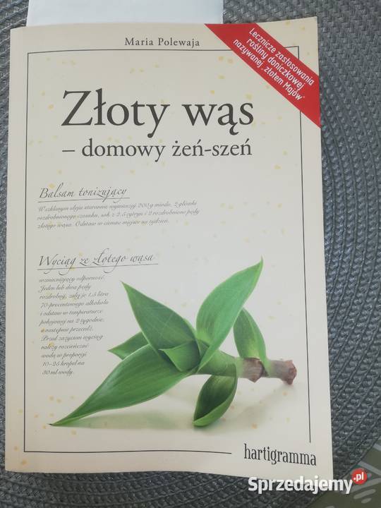 Roślina lecznicza Callisia fragrans 2 sadzonki Białystok