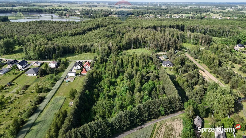 Działka inwestycyjna Wałsnów gm Orońsko 180 ar mazowieckie sprzedam