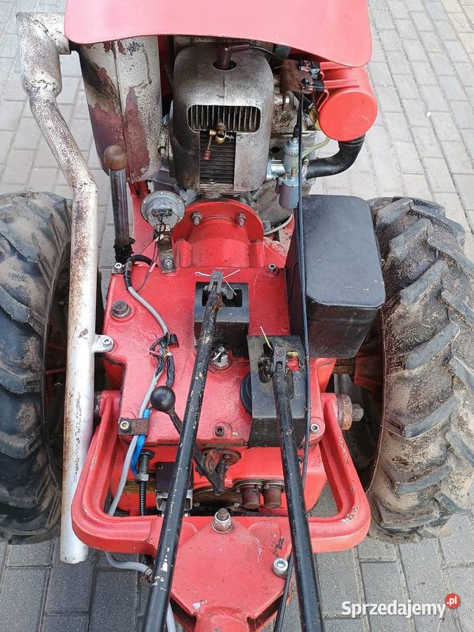 Sprzedam dzik 2 lubelskie Polatycze sprzedam