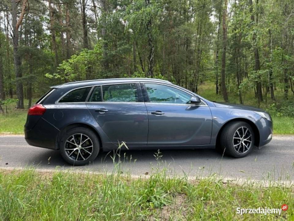 Opel Insignia Górki Duże