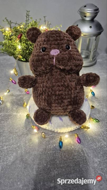 Chomik na szydełku Wrocław