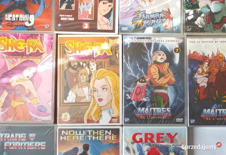 11x DVD anime manga FRANCUSKIE FOLIA SheRa Heman Rzeszów sprzedam