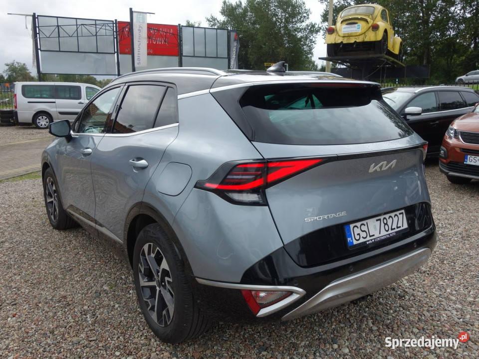 Kia Sportage BUSINESS LINE SALON POLSKI 1 Słupsk