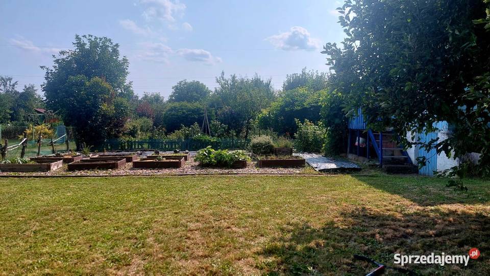 Działka ROD Kużniki Wrocław Nowy Dwór 440 m Sprzedaż