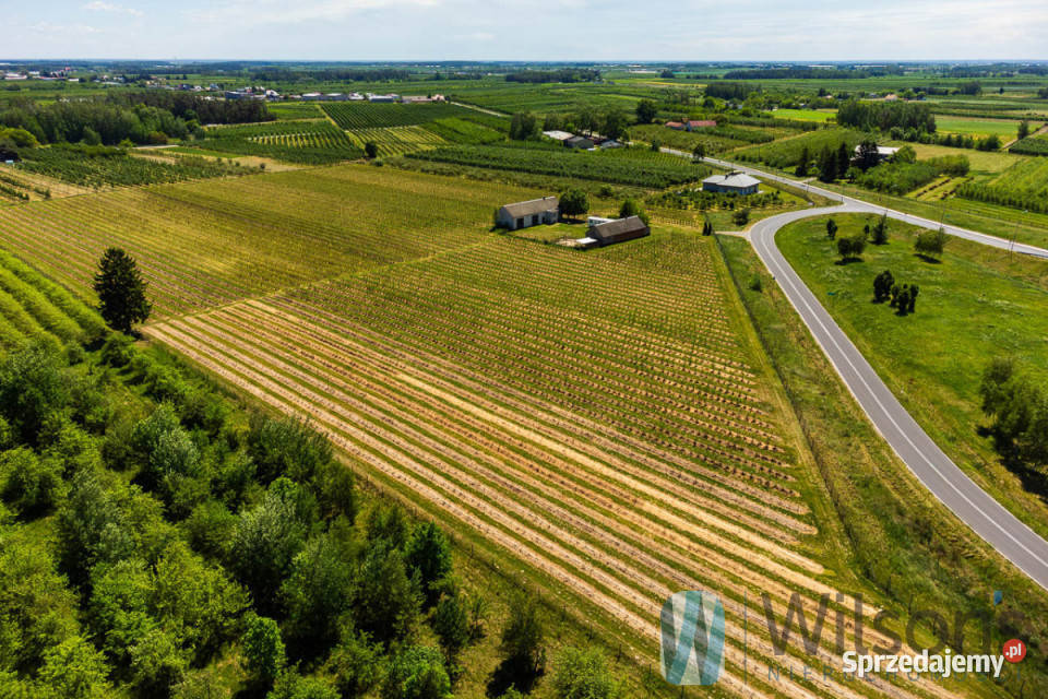 sprzedaży gruntu 56500m2 Józefów