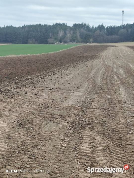 Sprzedam rozrzutnik Kopciówka