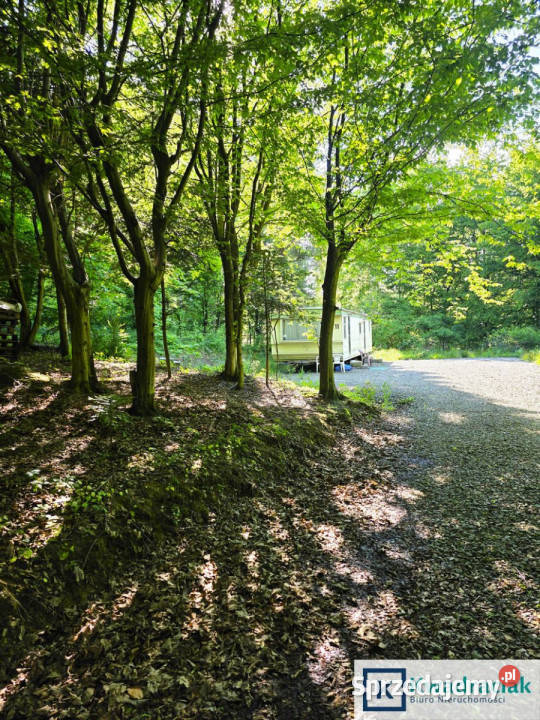 Działka 8242m2 Płowce szambo