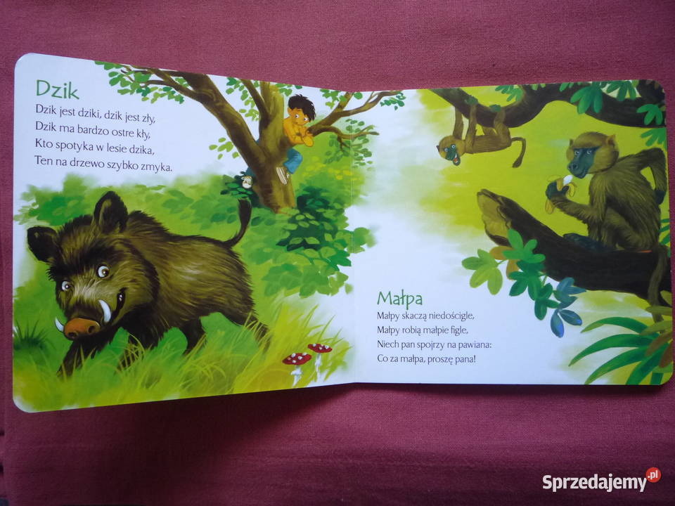 Brzechwa ZOO książeczka dzieci sztywnostronicowa Szczecin
