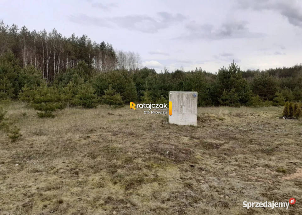 Grunt 42000m2 Przewóz pomorskie