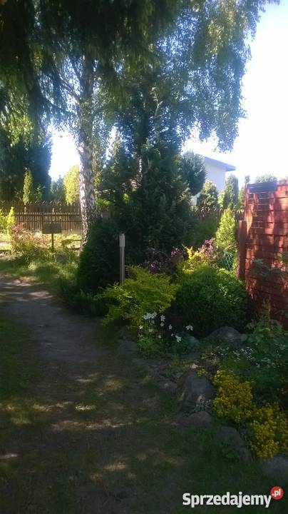 Działka rekreacyjna jeziorem 20 Bydgoszczy Grunty i działki Wierzchucinek