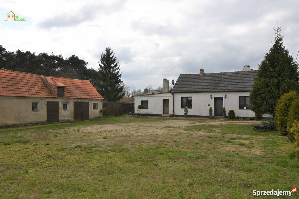 Dom budynek gospodarczy działka 2122 m2 Niesłabin sprzedam