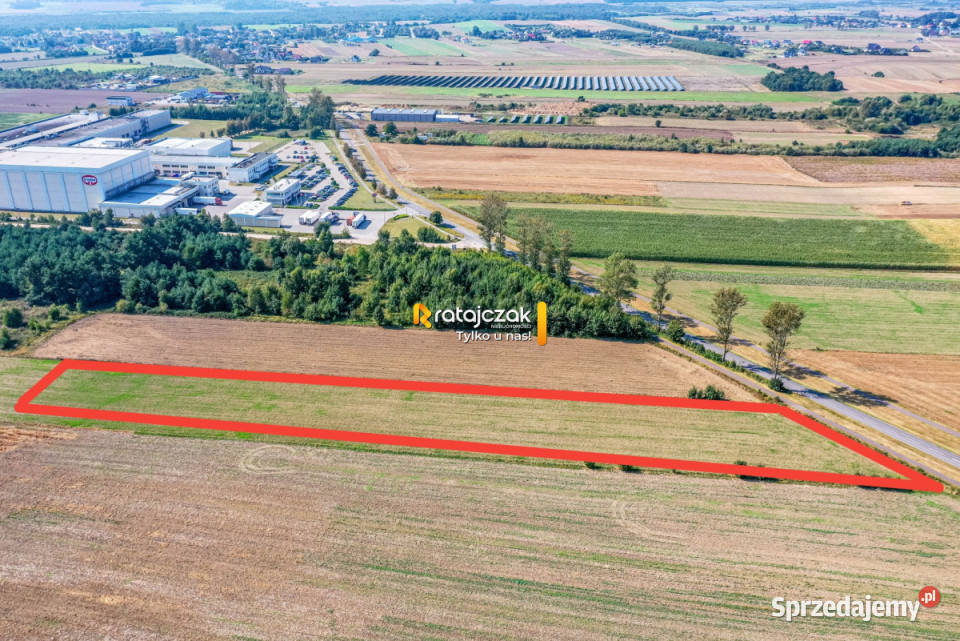 sprzedaży gruntu 9632m2 Łebcz Dr Augusta telefon Sprzedaż pomorskie sprzedam