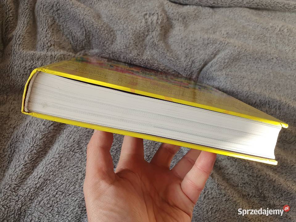 Paweł Konjo Konnak Księgowy Tańczy Gdynia