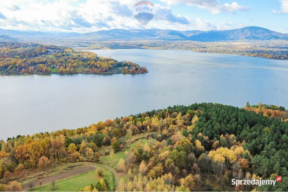 Działka leśna 862 m w Oczkowie Żywiec