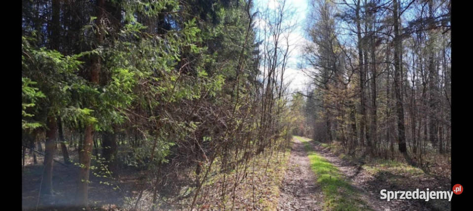 PROMOCJA Dwie działki w jednej Słynny zalew 2800m2 Przyłogi