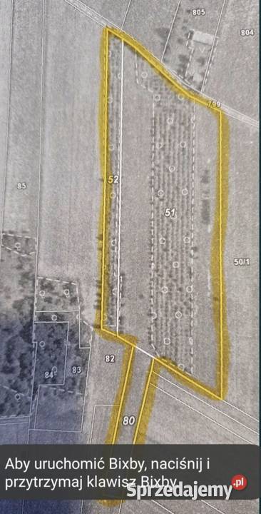 Dierżawa ziemi rolnej mazowieckie sprzedam