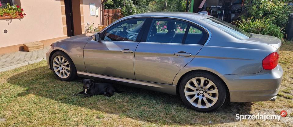 Bmw E90 320d nieuszkodzony BMW Korfantów