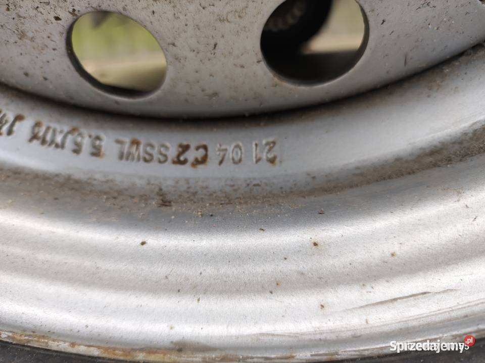 Przyczepa do koni Brenderup Zgierz