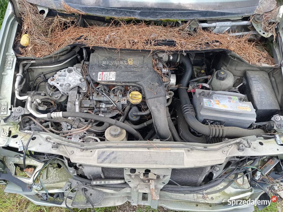 Renault Megane Scenic 19 47 kW 2002 r dawca Szklarka Myślniewska