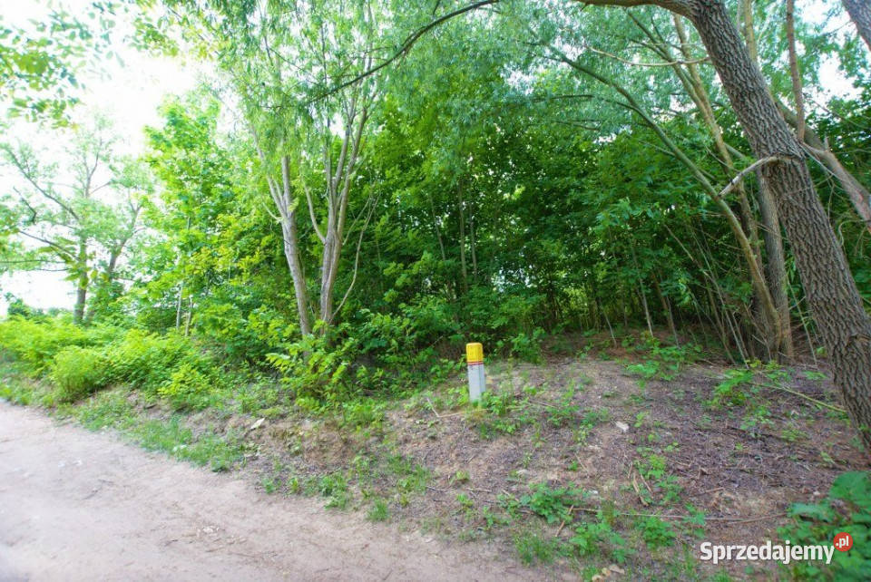 Grunt Kielce 5663m2 sprzedam