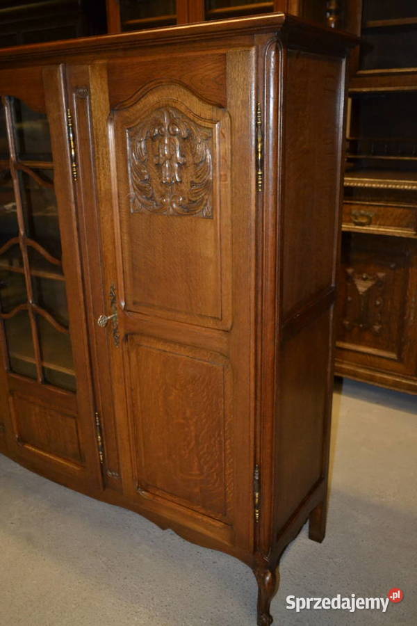 biblioteka witryna ludwikowska dąb Będzin