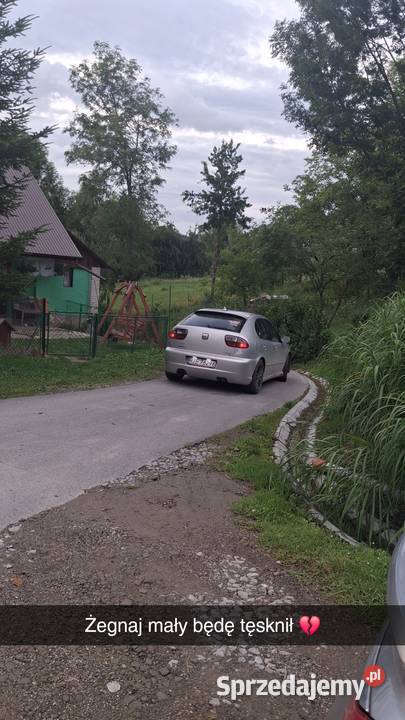 Seat leon 19 arl do poprawek lakierniczych i nieuszkodzony Leon Kańczuga