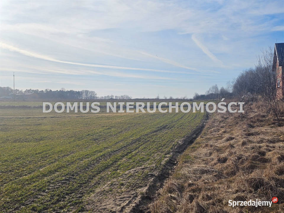 Działka 4500m2 Polik