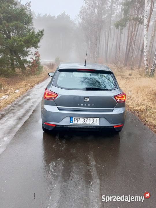 SEAT IBIZA Mały przebieg 95KM Kaczory