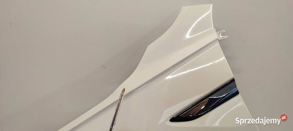 TIGUAN ALLSPACE BŁOTNIK LEWY PRZÓD LC9A 2024 dolnośląskie