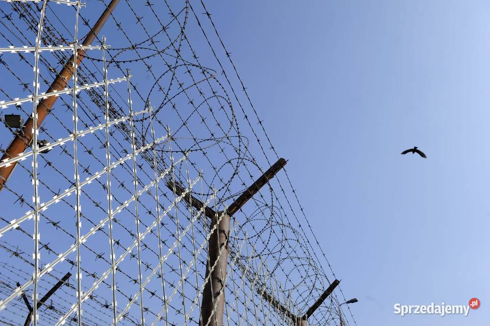 Siatka zgrzewana siatka concertina arkusz 21 m x