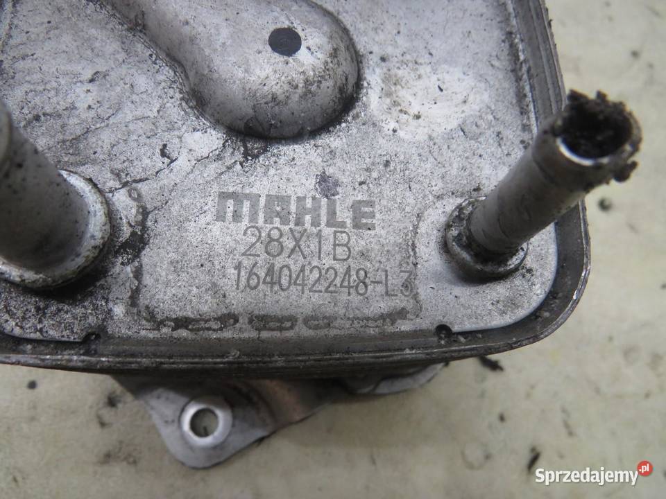 CHŁODNICZKA OLEJU XTRAIL III T32 16 DCI Chłodnice oleju sprzedam