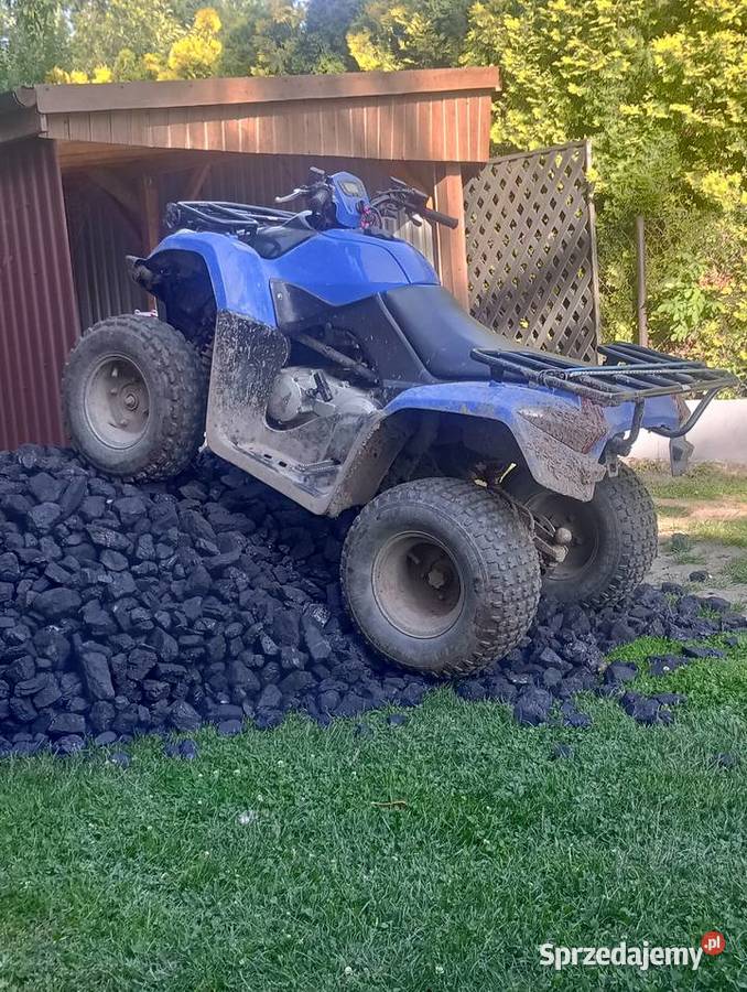 Qlad kymco 250 super stan