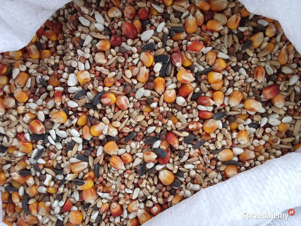 Karma Lotowa bez pszenicy wysyłka sprzedam