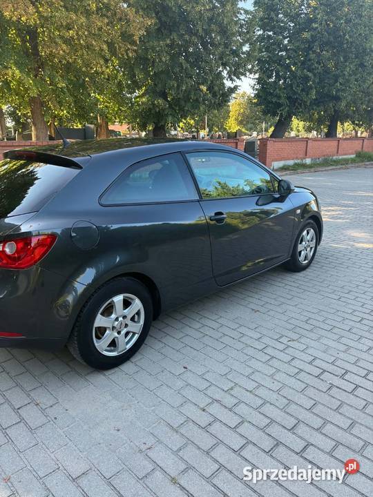 Seat Ibiza 2010 Ibiza Witaszyce