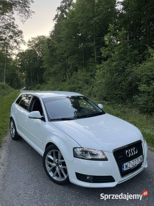 Audi A3 8P Quattro Sportback 20TDI CR 200 diesel kujawsko-pomorskie Grudziądz sprzedam