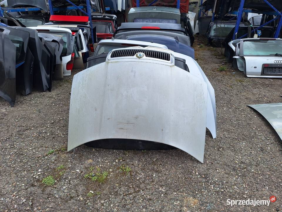 Maska Przód Skoda Fabia 1 kompletna Różne Kolory Motoryzacja Gorzyce