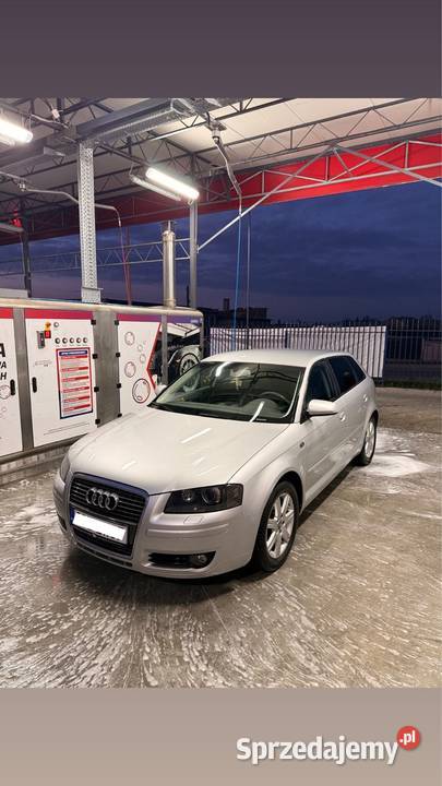 Audi A3 8P opolskie Głubczyce