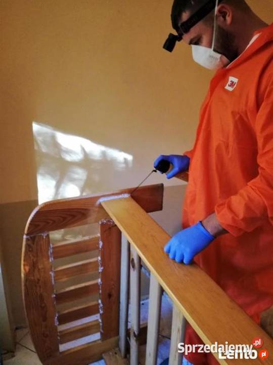 Dezynsekcja Pluskwy Certyfikowany Poziom Wyższy Katowice