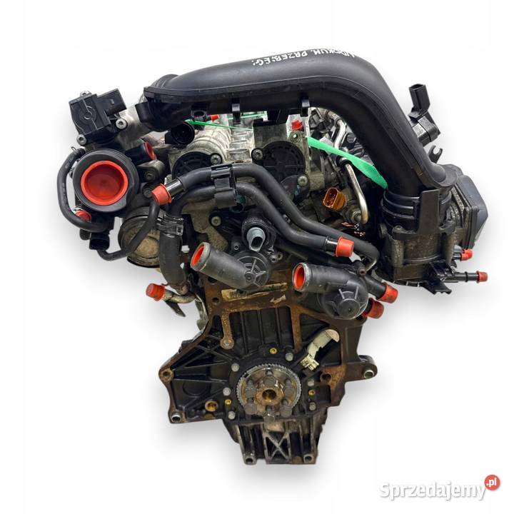 SILNIK CAX CAXC Audi A3 II 8P Skoda Superb II lubelskie Chełm