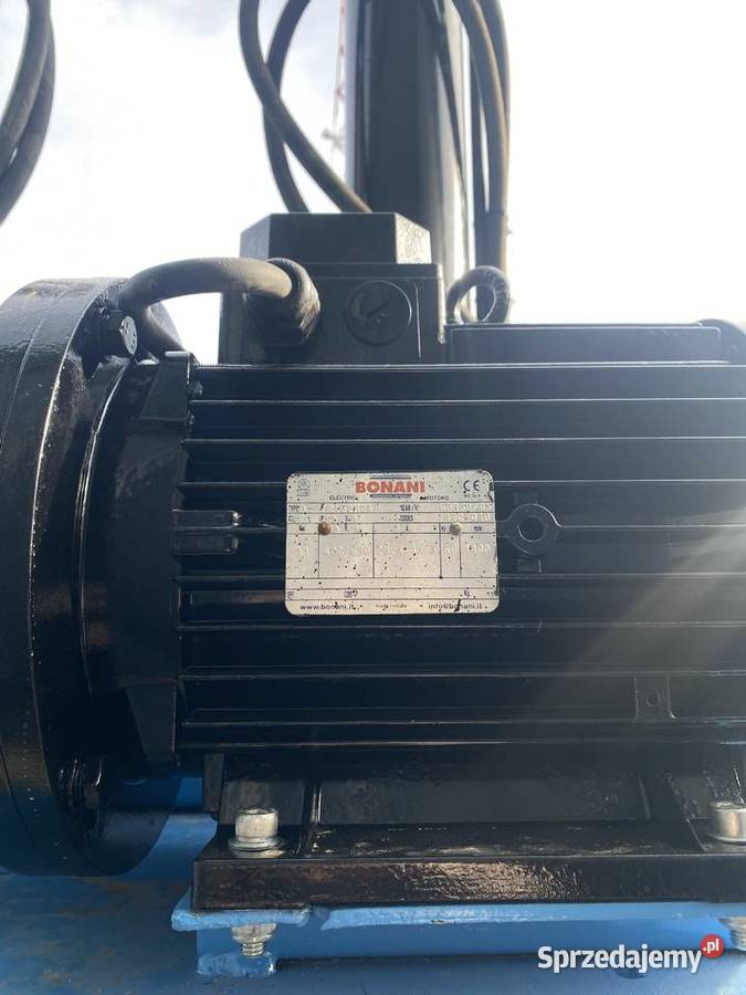 prasa belownica Sośno