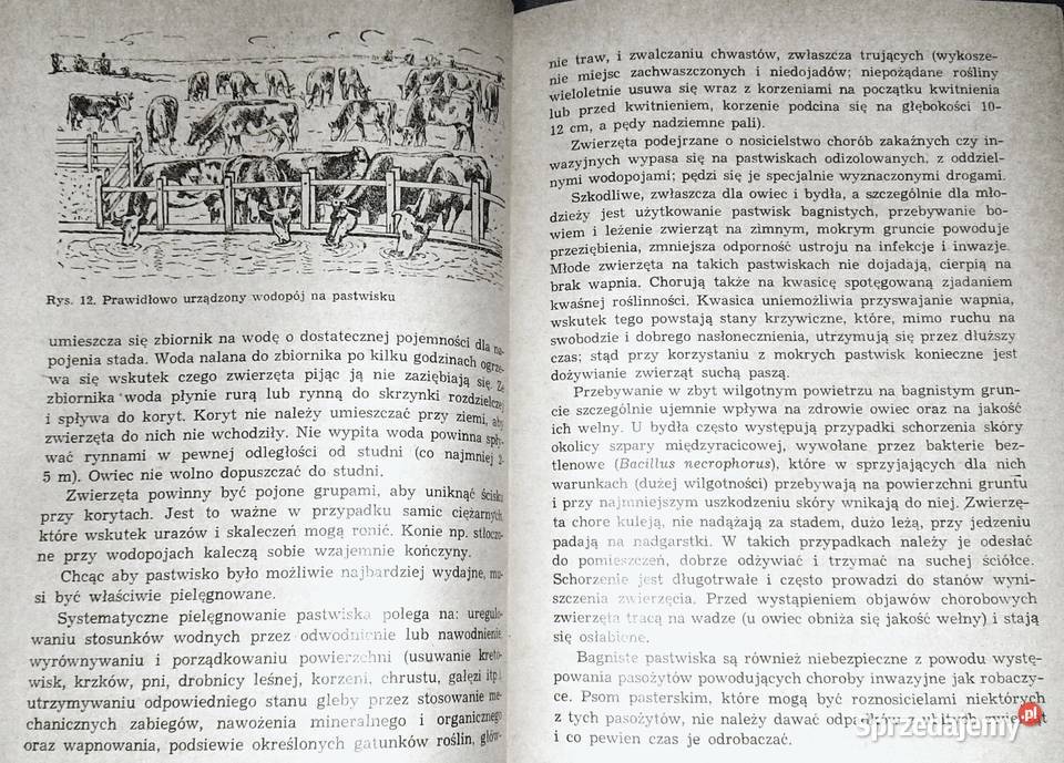 Zoohigiena Edward Szyfelbejn Rok wydania 1972 Chełm