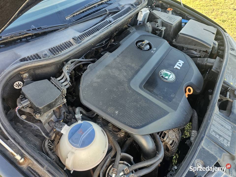 Skoda Fabia Bukowice