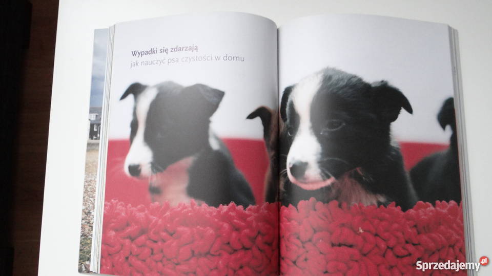 Ja albo mój pies Victoria Stilwell Poradniki, albumy i reportaże sprzedam