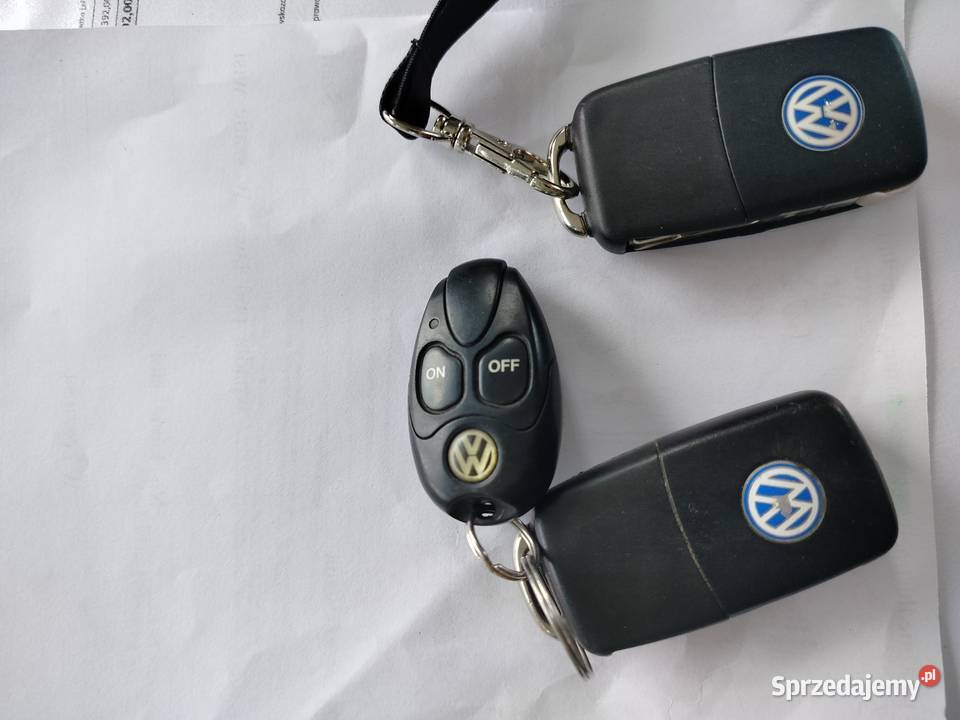 Multivan w Longu Strzelno