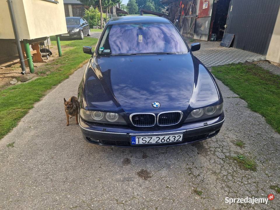 Sprzedam BMW e39 30d 2926cm3 Staszów