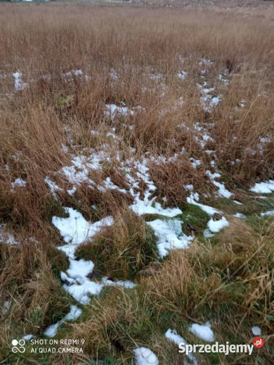 Działka na sprzedaż