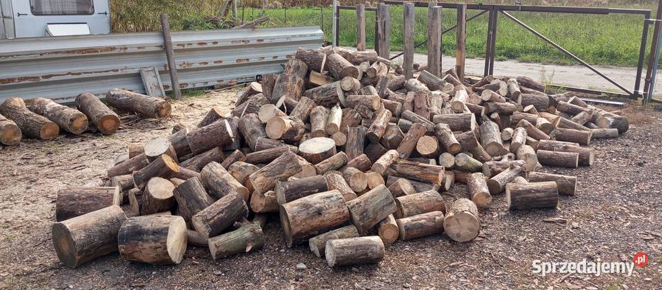 Drewno opałowekominkowe Gałęziówka i grube Dom i Ogród Bydgoszcz