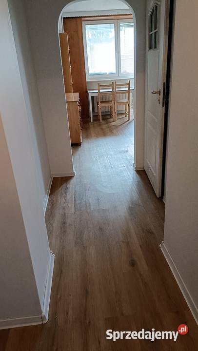 Kawalerka bezpośrednio właściciela Liczba pokoi 1 mazowieckie Warszawa